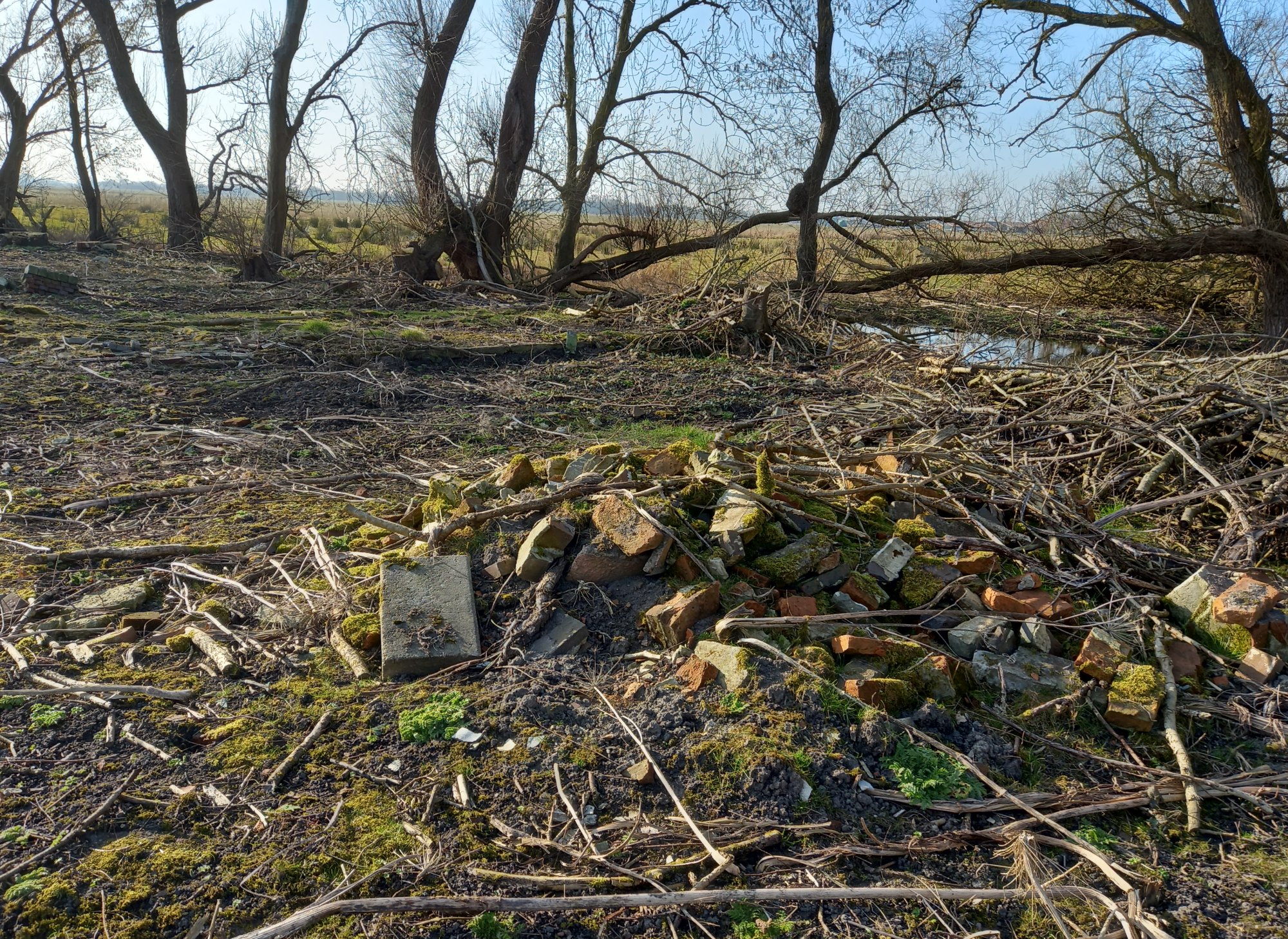 Preuss. Landesaufnahme 1891: Sietwendung